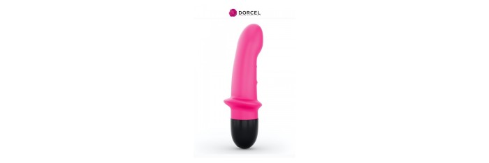 Vibromasseur Mini Lover 15,5 cm 2.0 - Rose