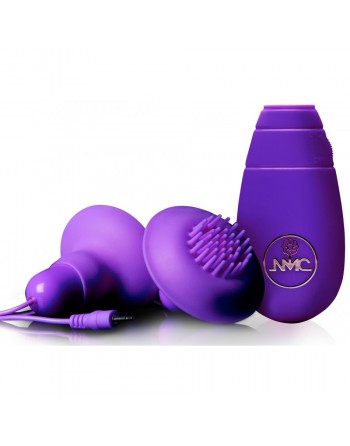 Double Stimulateur de Mamelons et de Clitoris