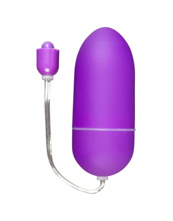 Oeuf vibrant Spoody Three pourpre - 10 vitesses