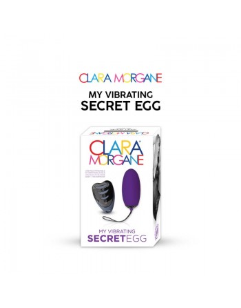 My vibrating secret egg - Violet