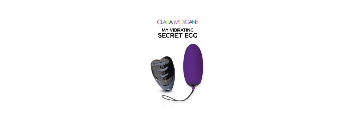 My vibrating secret egg - Violet