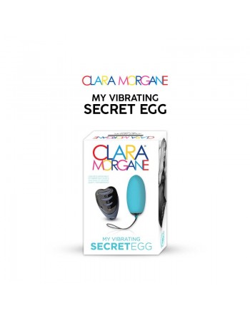 My vibrating secret egg - Bleu