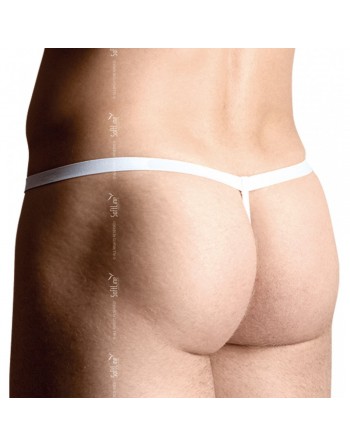 String Homme Humoristique Ours Blanc - TU S/L