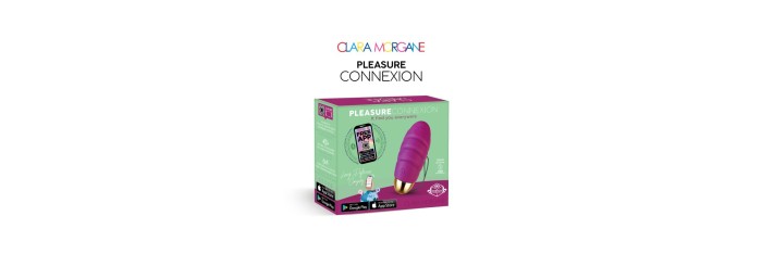 Pleasure connexion Violet - Oeuf vibrant