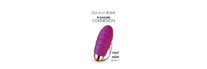 Pleasure connexion Violet - Oeuf vibrant