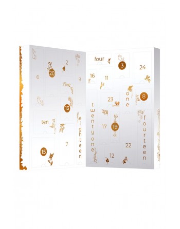 Calendrier de l'Avent - Adrien Lastic