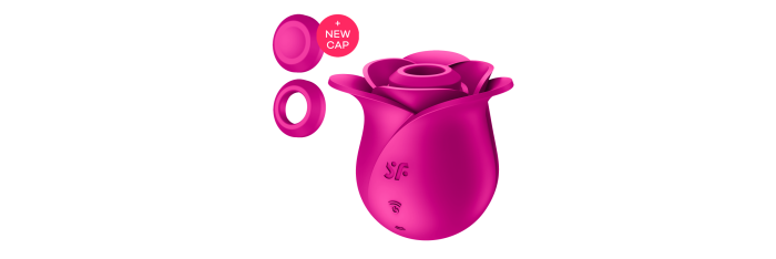 Modern Blossom Pro 2 Satisfyer - Rose