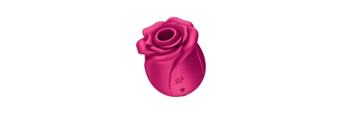 Stimulateur clitoridien Satisfyer Pro 2 Classic Blossom