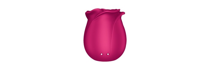 Stimulateur clitoridien Satisfyer Pro 2 Classic Blossom