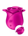 Stimulateur clitoridien Satisfyer Pro 2 Modern Blossom