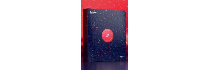 Calendrier de l'Avent Satisfyer Deluxe 2024 Précommande