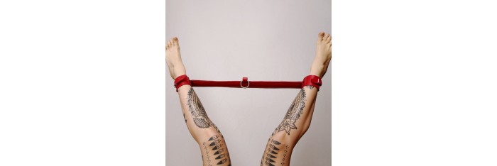 Barre de contrainte cuir et anneau Rouge