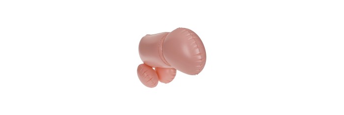 Jeu de combat coquin Cock Fighting