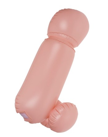 Jeu de combat coquin Cock Fighting