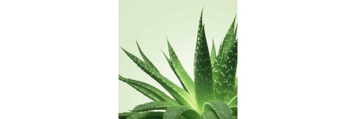 Mixgliss Gel de massage - NU Aloe Vera - 250 ml