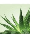 Mixgliss Gel de massage - NU Aloe Vera - 1000 ml