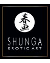 Shunga Erotic Art